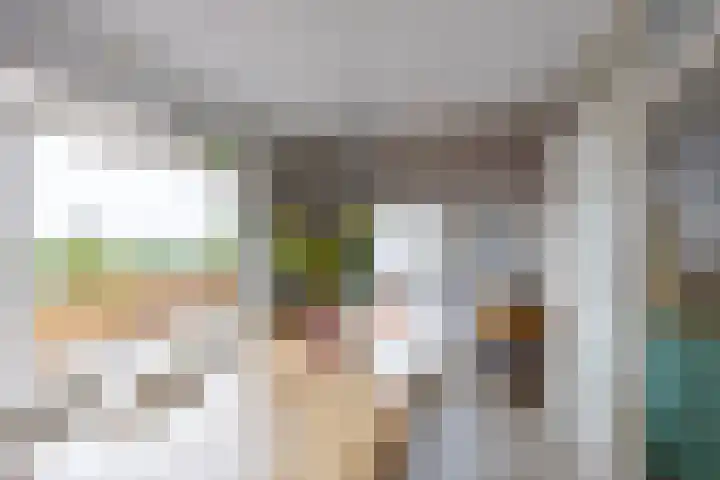 Linnaeusplein 15 Groningen thumbnail 31