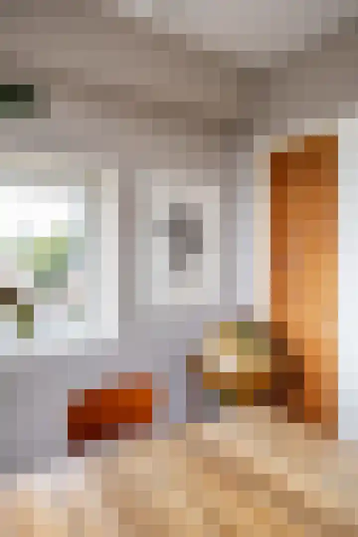 Linnaeusplein 15 Groningen thumbnail 32