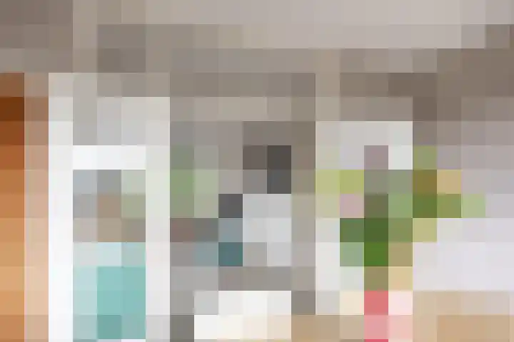 Linnaeusplein 15 Groningen thumbnail 33