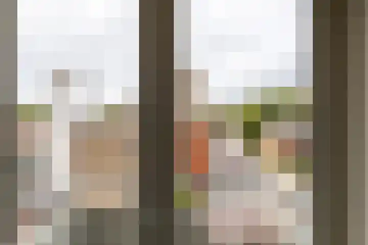 Linnaeusplein 15 Groningen thumbnail 35