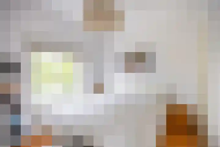Linnaeusplein 15 Groningen thumbnail 37