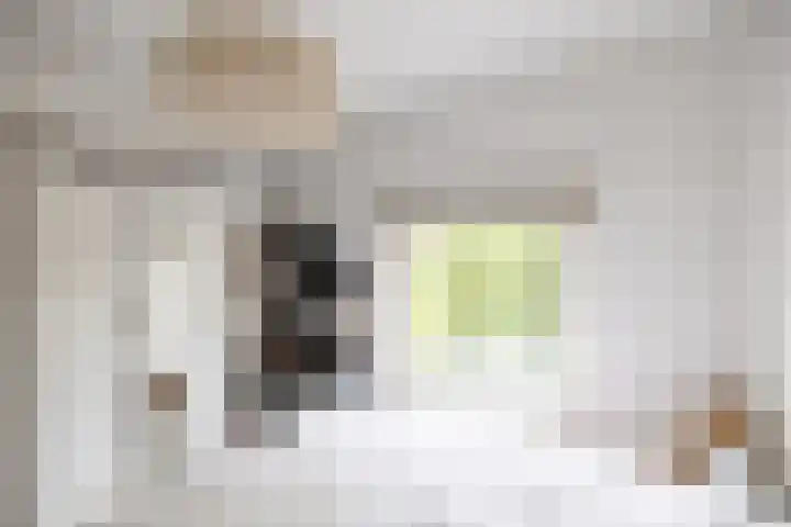 Linnaeusplein 15 Groningen thumbnail 38