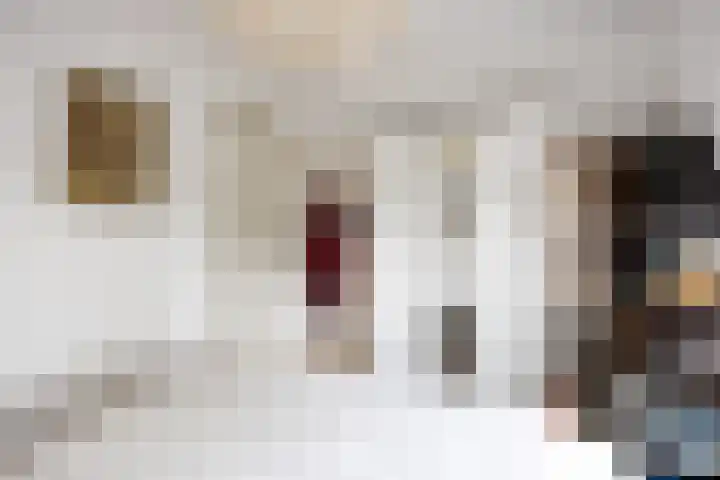 Linnaeusplein 15 Groningen thumbnail 39