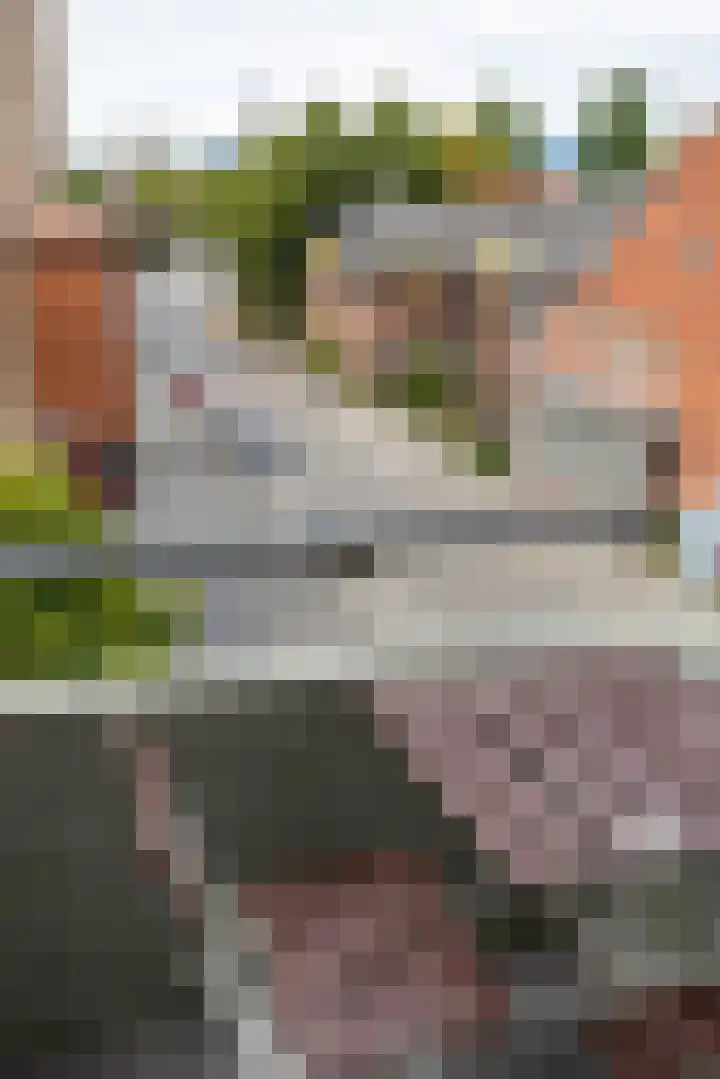 Linnaeusplein 15 Groningen thumbnail 40