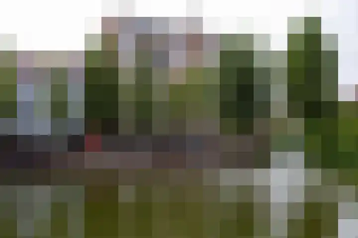 Linnaeusplein 15 Groningen thumbnail 6