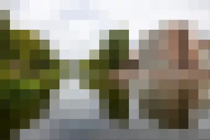 Linnaeusplein 15 Groningen thumbnail 7