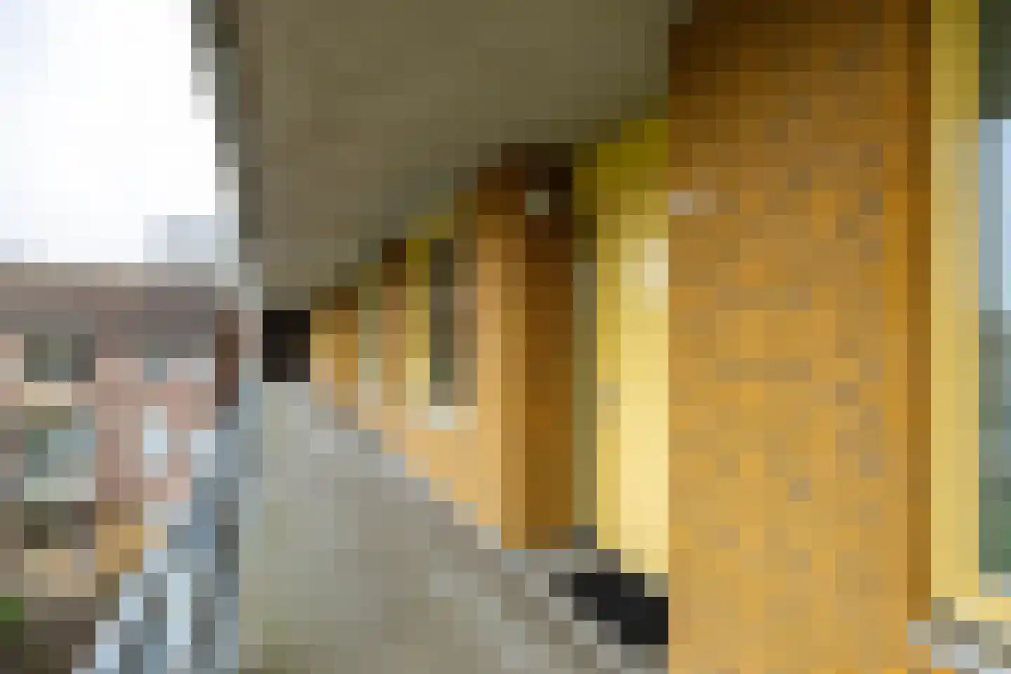 Linnaeusplein 26 Groningen thumbnail 10