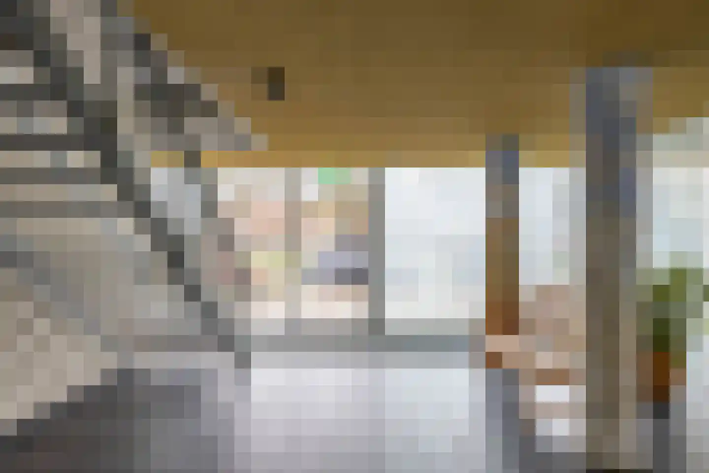 Linnaeusplein 26 Groningen thumbnail 36