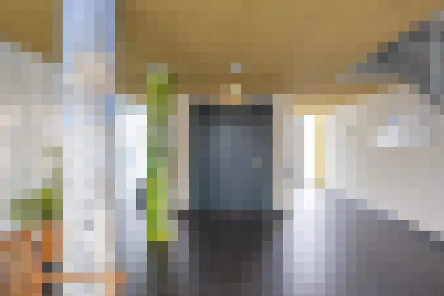 Linnaeusplein 26 Groningen thumbnail 9
