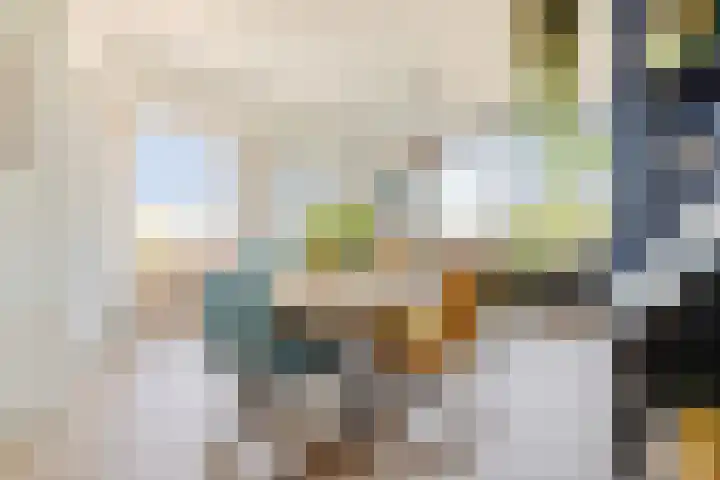 Linnaeusplein 33 Groningen thumbnail 16