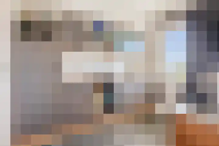 Linnaeusplein 33 Groningen thumbnail 19