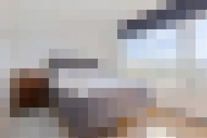 Linnaeusplein 33 Groningen thumbnail 25