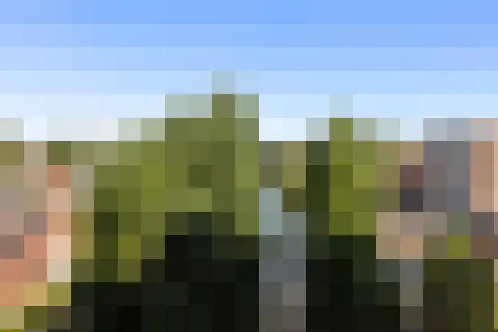 Linnaeusplein 33 Groningen thumbnail 28
