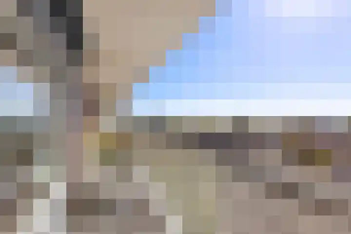 Linnaeusplein 33 Groningen thumbnail 30