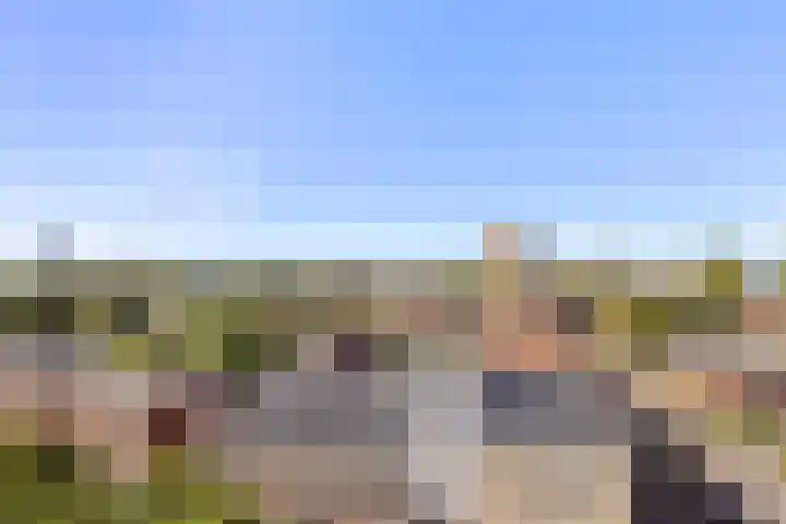 Linnaeusplein 33 Groningen thumbnail 31