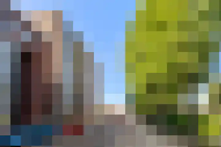 Linnaeusplein 33 Groningen thumbnail 32