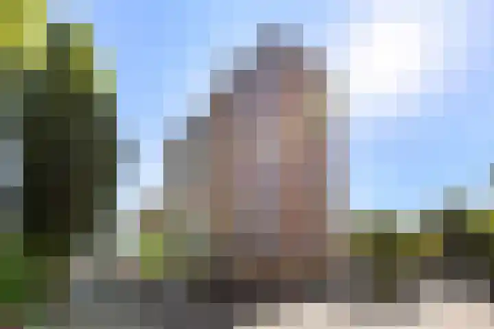 Linnaeusplein 33 Groningen thumbnail 4