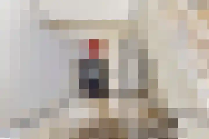 Linnaeusplein 33 Groningen thumbnail 6