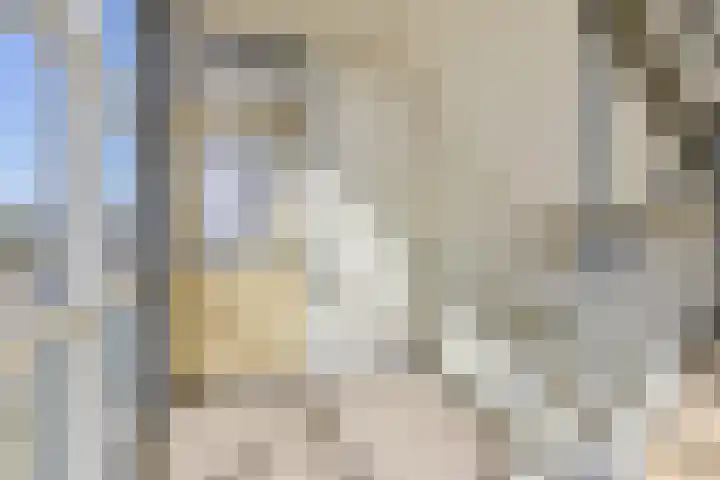 Linnaeusplein 33 Groningen thumbnail 7
