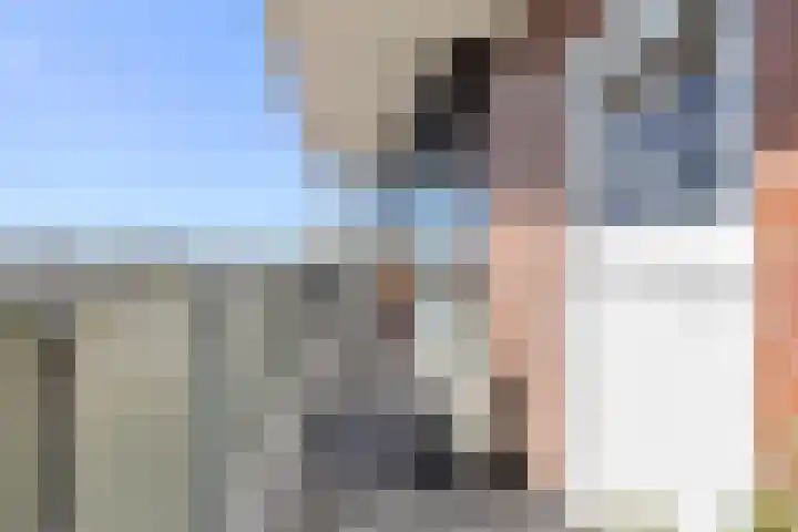 Linnaeusplein 33 Groningen thumbnail 9