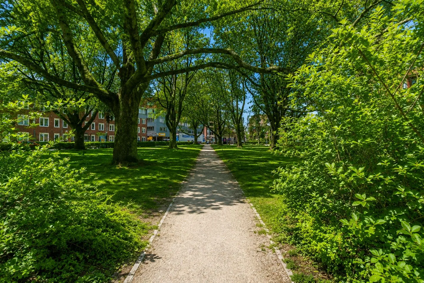 Linnaeusplein 40 Groningen thumbnail 12