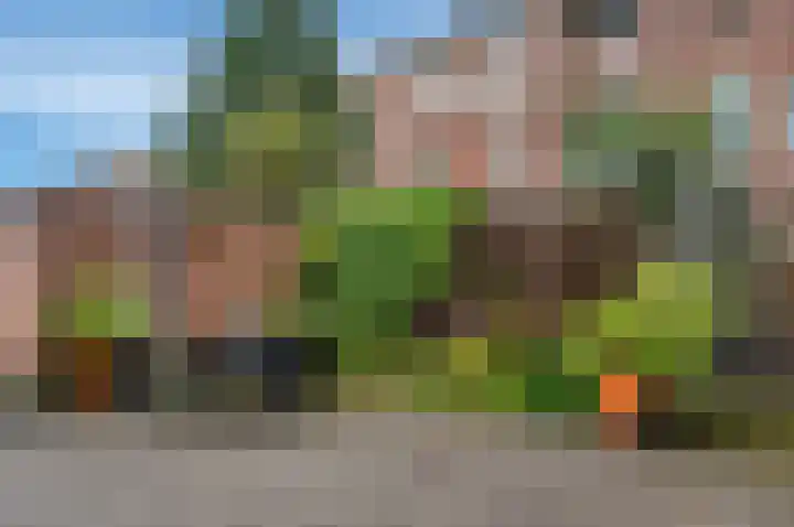 Linnaeusplein 48 Groningen thumbnail 28