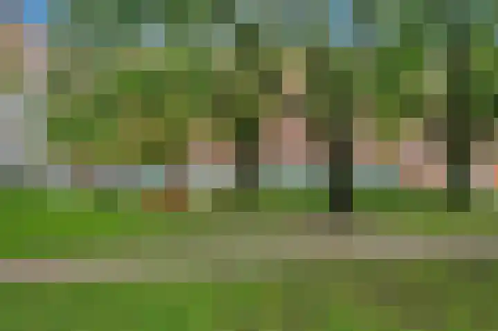 Linnaeusplein 48 Groningen thumbnail 5