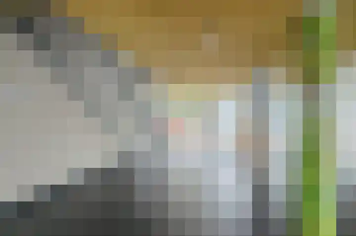 Linnaeusplein 48 Groningen thumbnail 8