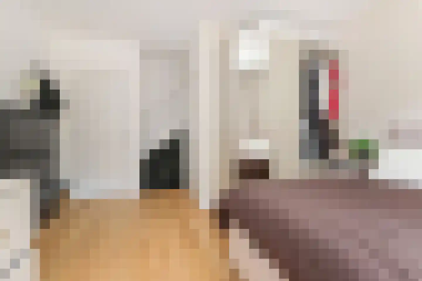 Linnaeusstraat 1 Den Haag thumbnail 12