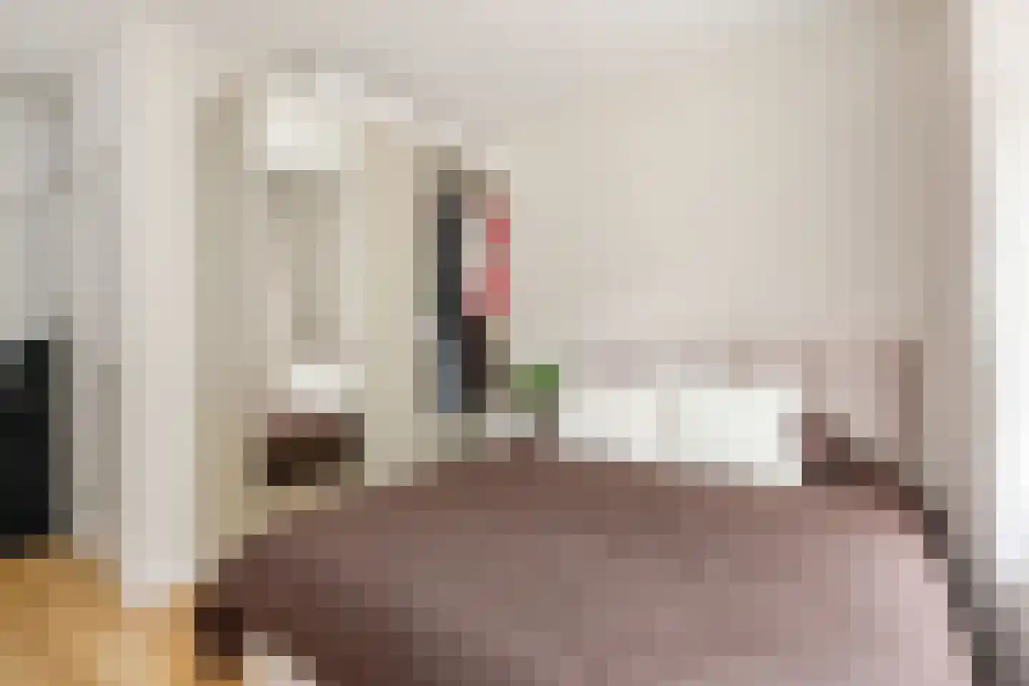 Linnaeusstraat 1 Den Haag thumbnail 13