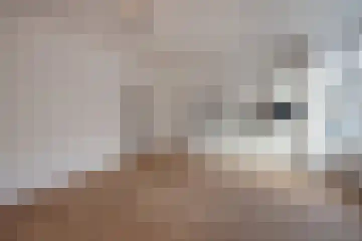 Linnaeusstraat 1 Den Haag thumbnail 18