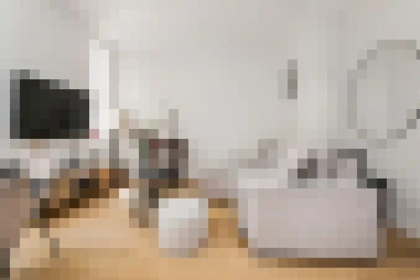 Linnaeusstraat 1 Den Haag thumbnail 4
