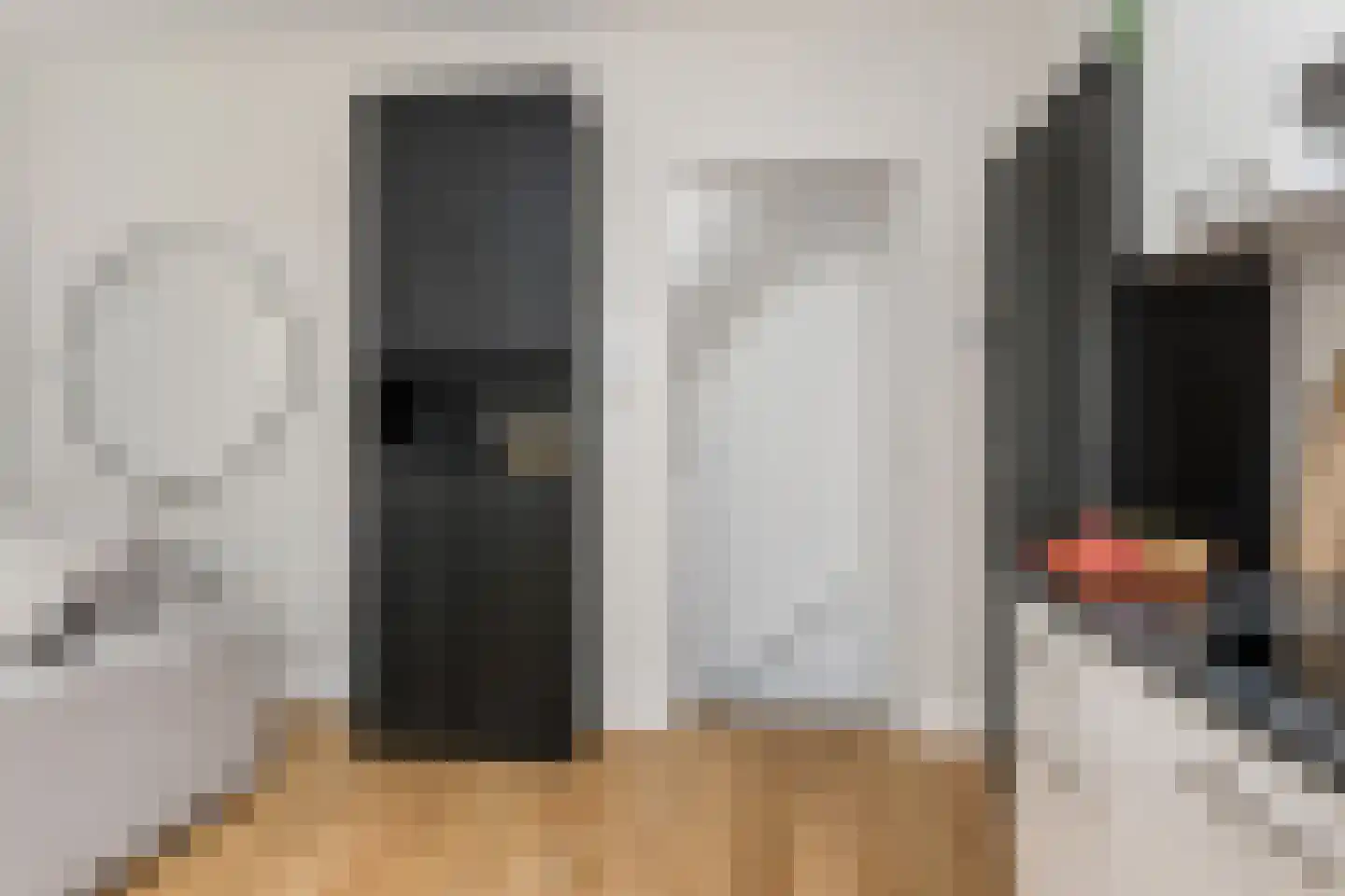 Linnaeusstraat 1 Den Haag thumbnail 5
