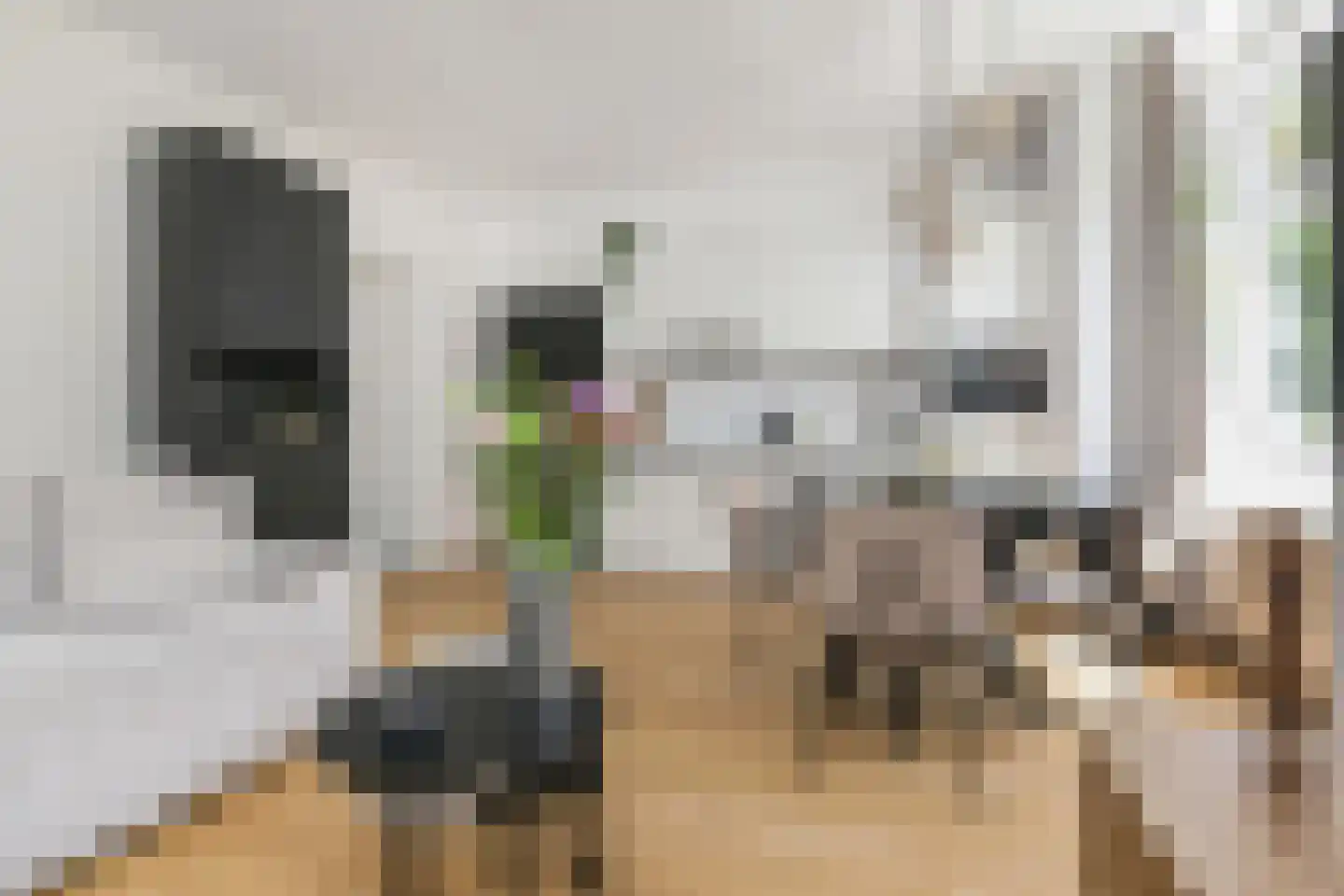 Linnaeusstraat 1 Den Haag thumbnail 6