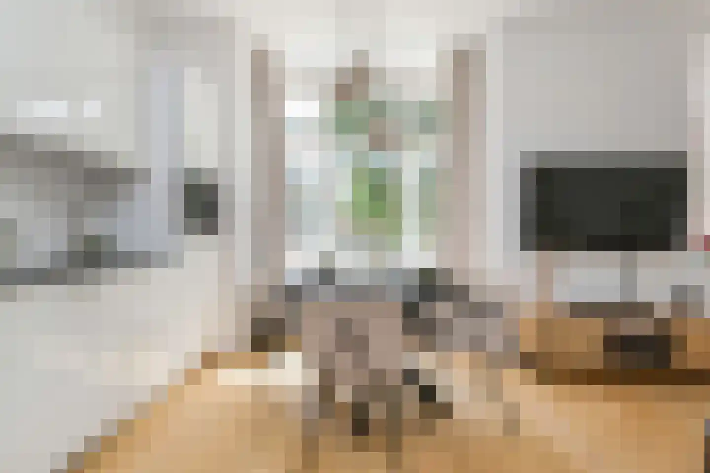 Linnaeusstraat 1 Den Haag thumbnail 8