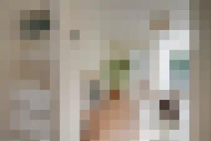 Linnaeusstraat 1 Utrecht thumbnail 10
