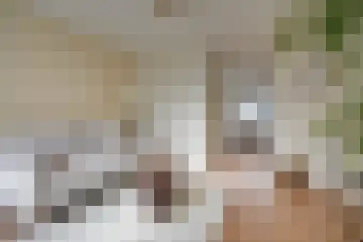 Linnaeusstraat 1 Utrecht thumbnail 12