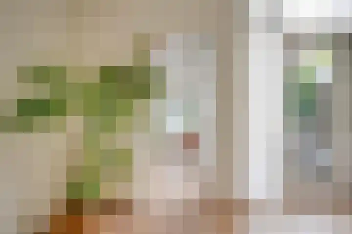 Linnaeusstraat 1 Utrecht thumbnail 14