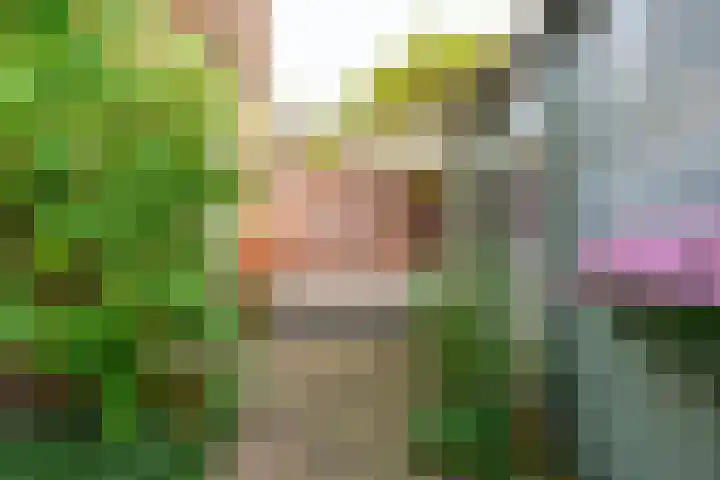 Linnaeusstraat 1 Utrecht thumbnail 22