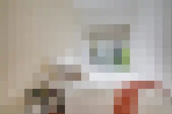 Linnaeusstraat 1 Utrecht thumbnail 26
