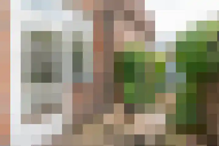 Linnaeusstraat 1 Utrecht thumbnail 4
