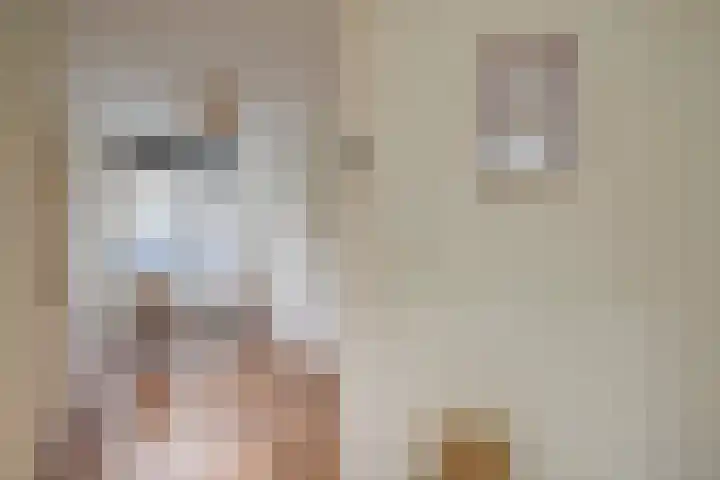 Linnaeusstraat 1 Utrecht thumbnail 8