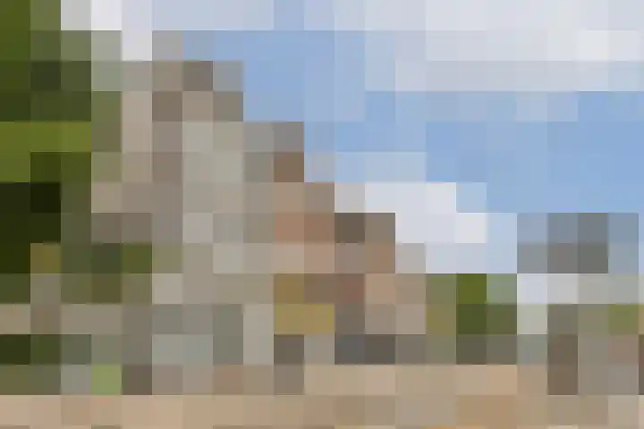 Linnaeusstraat 12 1 in Amsterdam