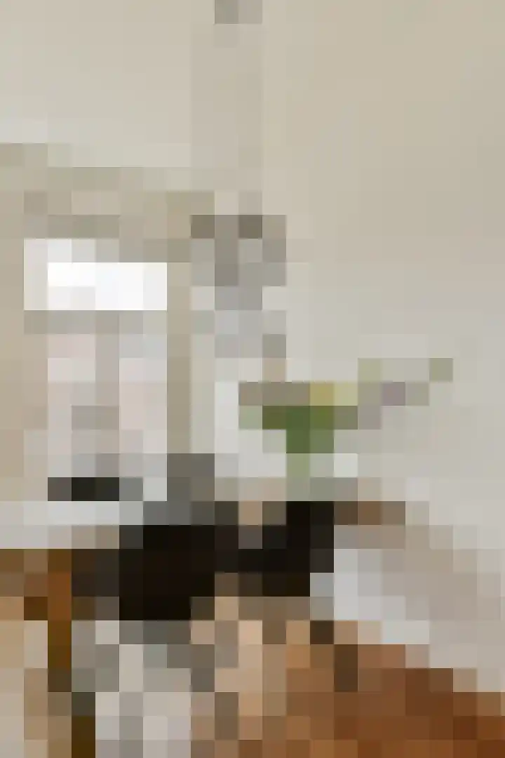 Linnaeusstraat 12 1 Amsterdam thumbnail 10