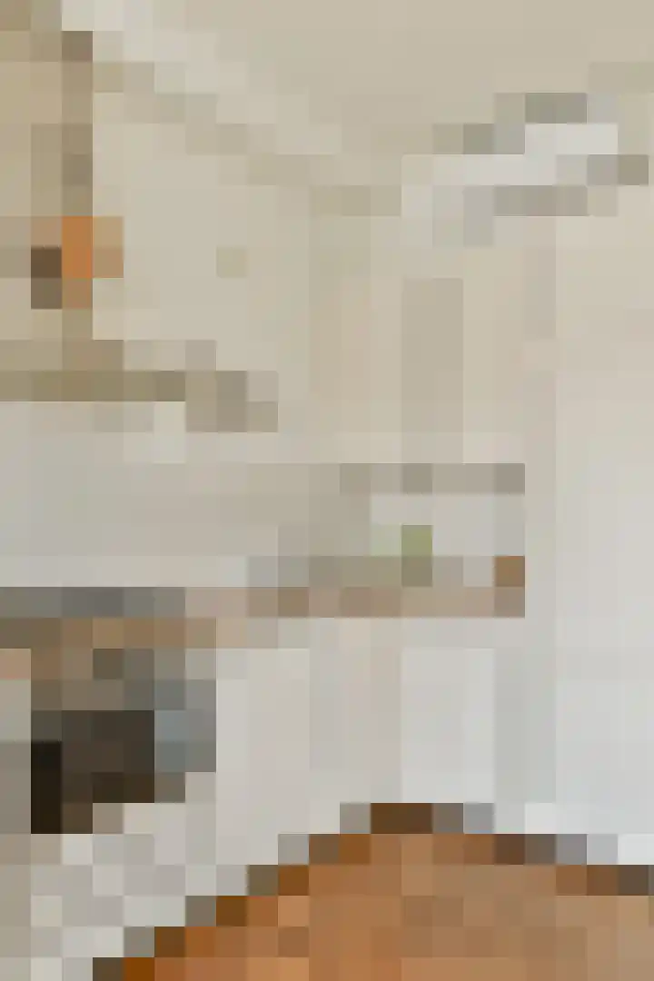 Linnaeusstraat 12 1 Amsterdam thumbnail 12