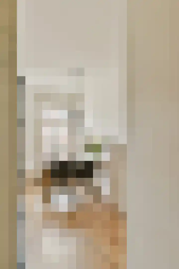 Linnaeusstraat 12 1 Amsterdam thumbnail 15