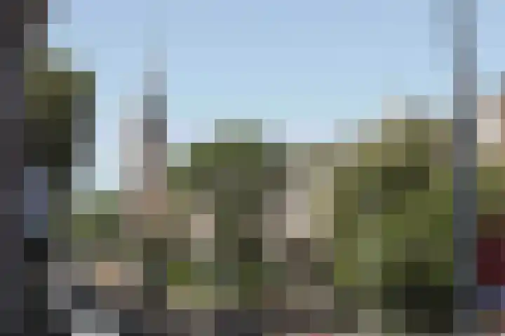 Linnaeusstraat 12 1 Amsterdam thumbnail 17