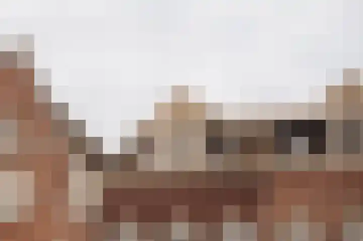 Linnaeusstraat 12 1 Amsterdam thumbnail 5