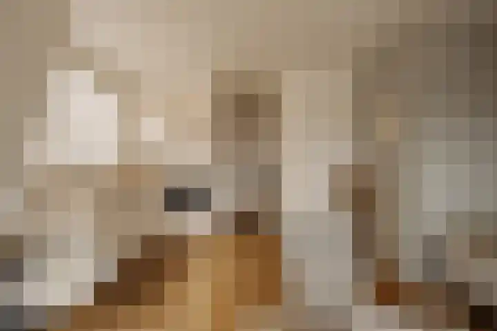 Linnaeusstraat 12 1 Amsterdam thumbnail 9