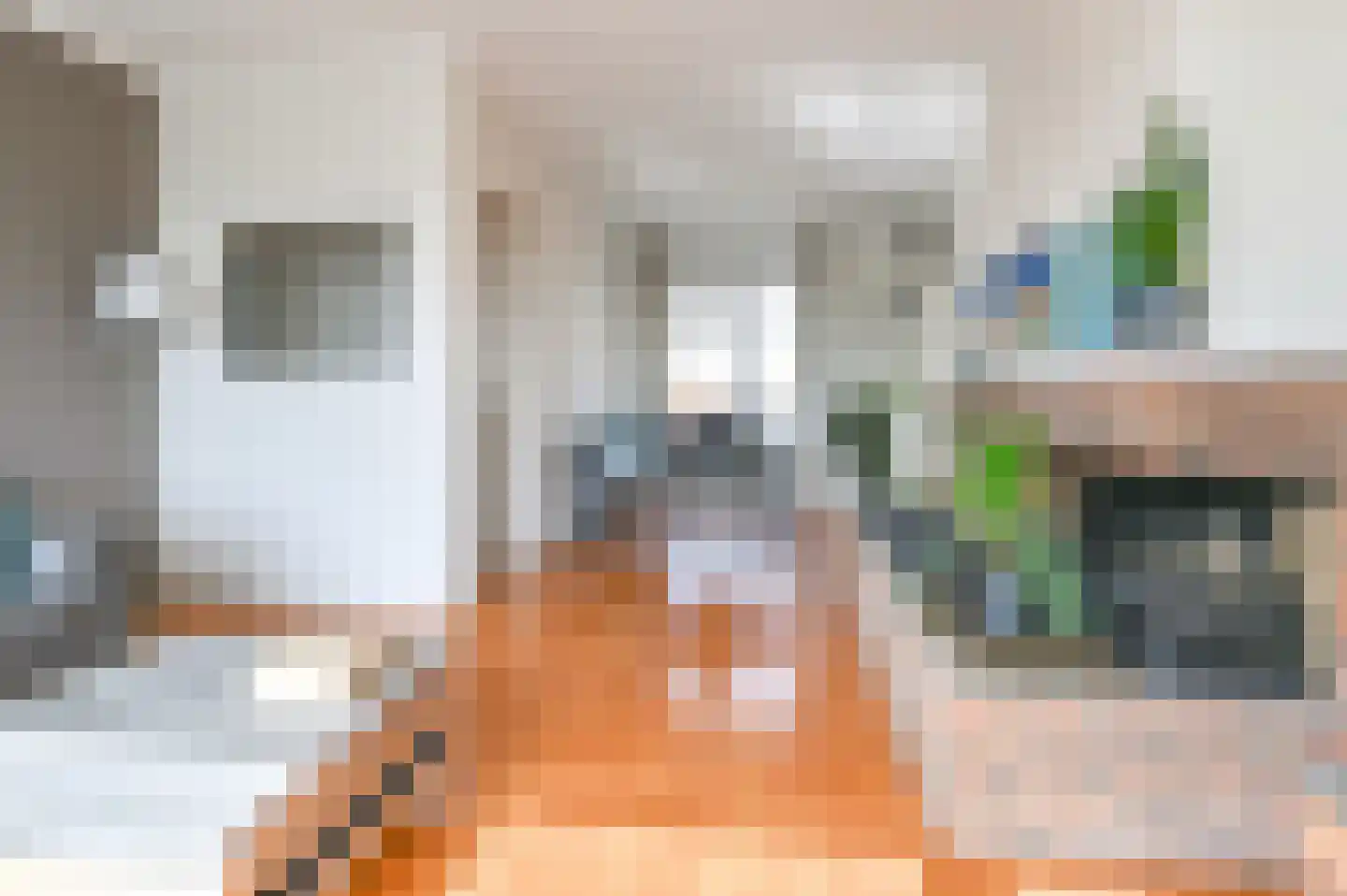 Linnaeusstraat 129 IJmuiden thumbnail 9